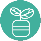 ico-Growth