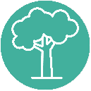 ico-tree